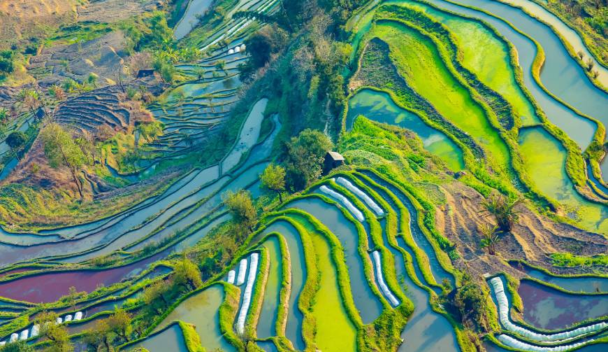 走进蓬溪县TVC拍摄：解锁本地化场景与创意镜头的完美融合